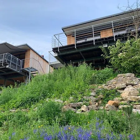 Tiny Haeuser Im Kupfertal Forchtenberg